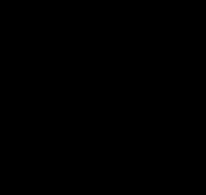 Strona 65